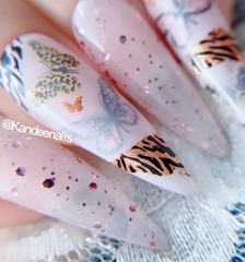 Wild Wings (CjS-392) Etched Nail Art Stamping Plate - Clear Jelly Stamping Plate