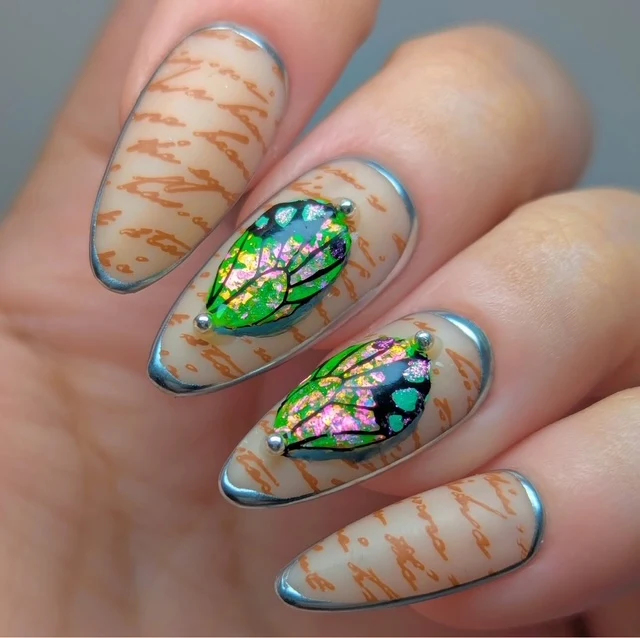 Wild Wings (CjS-392) Etched Nail Art Stamping Plate - Clear Jelly Stamping Plate