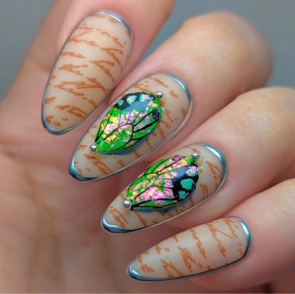 Wild Wings (CjS-392) Etched Nail Art Stamping Plate - Clear Jelly Stamping Plate