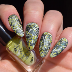 Marble Crush (CjS-405) - Etched Nail Art Stamping Plate - Clear Jelly Stamping Plate