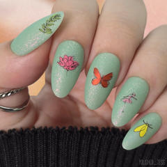 Beginner Edition (CjS-B-FIVE) -  CJS Medium Stamping Plate