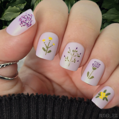 Beginner Edition (CjS-B-SIX) -  CJS Stamping Plate