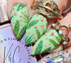 Beginner Edition (CjS-B-SIX) -  CJS Stamping Plate