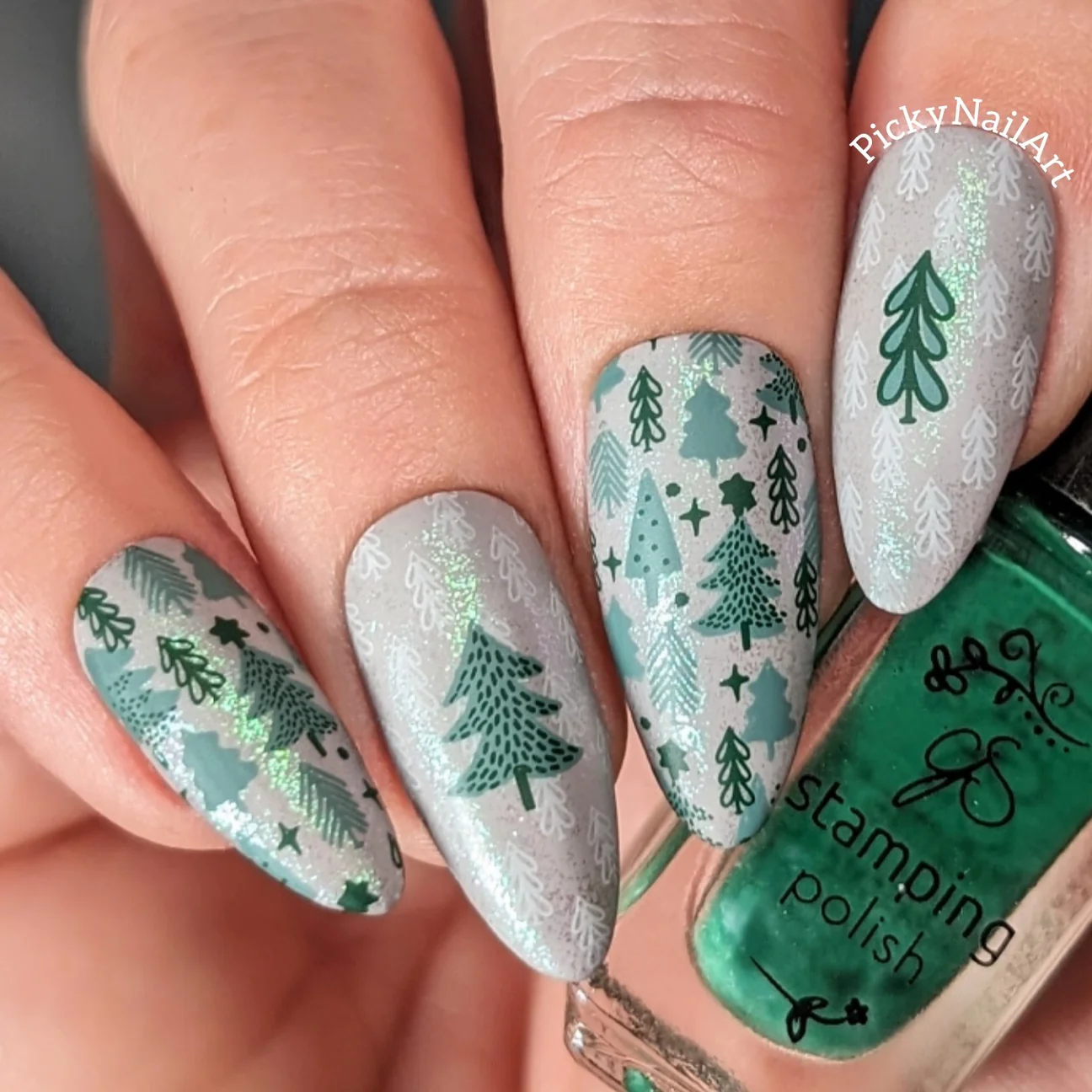 Pretty Paper - Festive (CjSC-78) - Clear Jelly Stamping Plate Secondary image