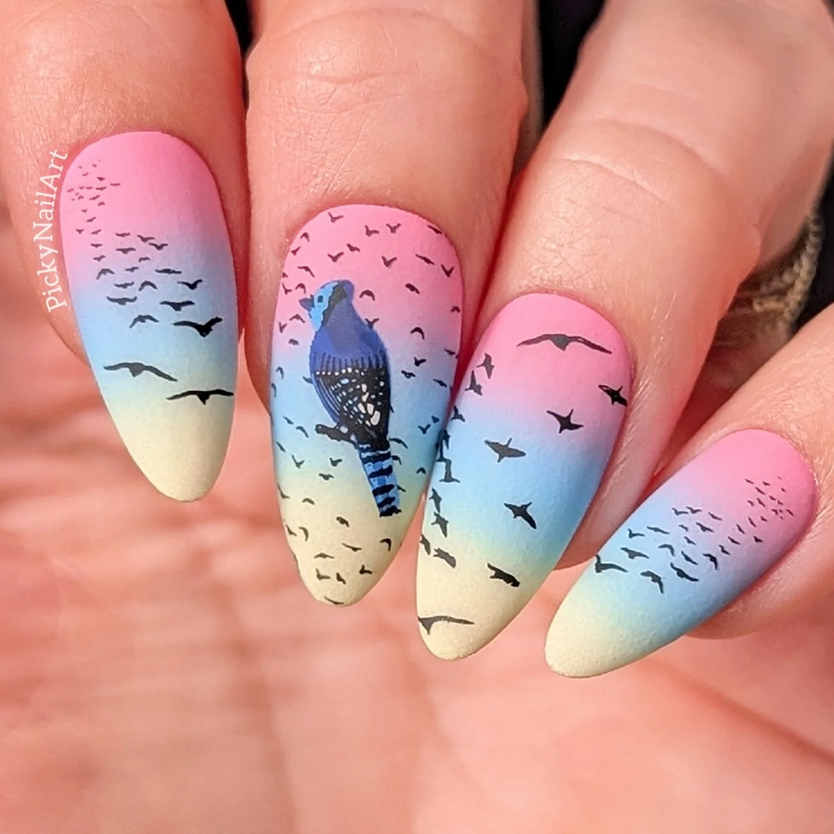 Talk Birdy To Me (CjSLC-103)  - Etched Nail Art Stamping Plate - Clear Jelly Stamping Plate