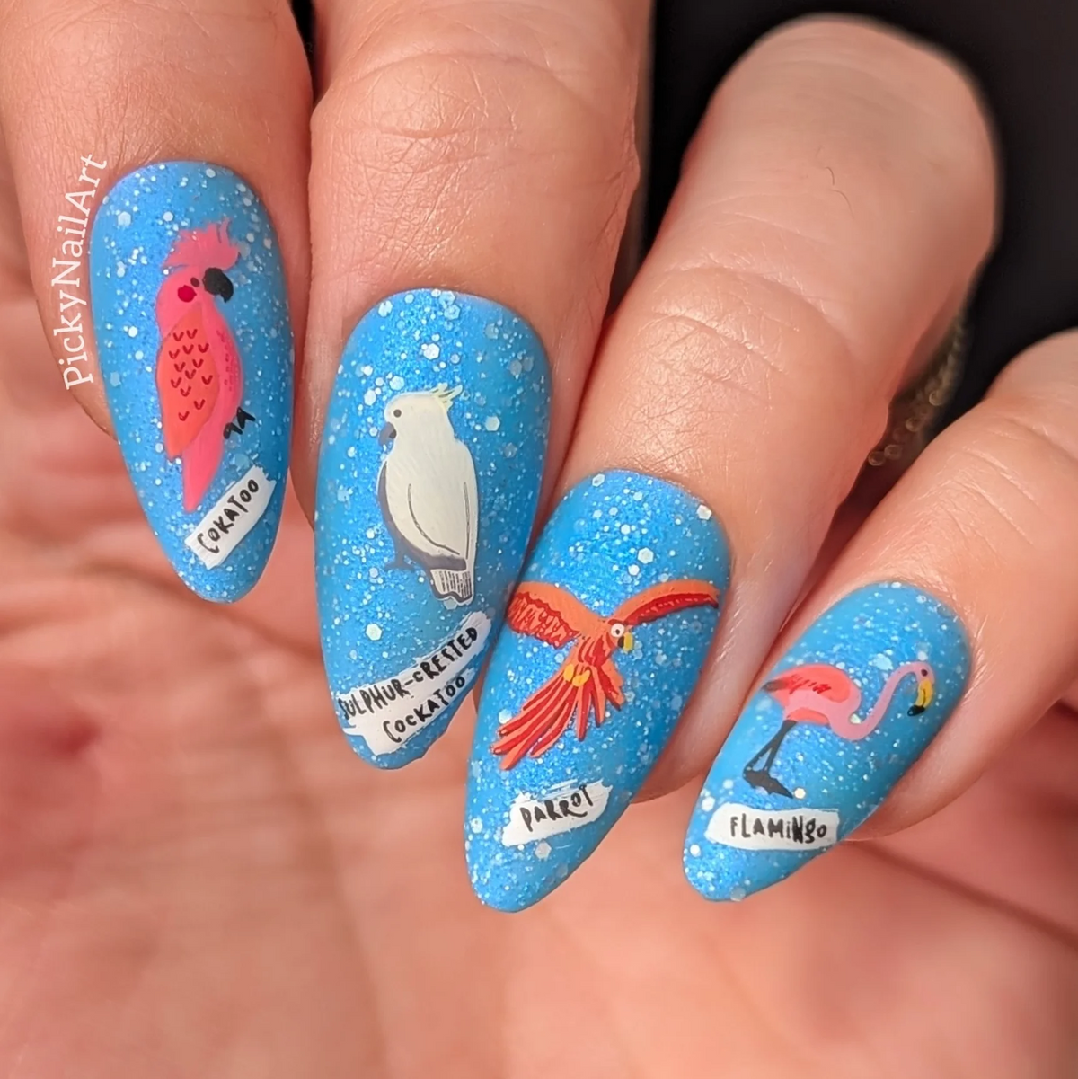 Talk Birdy To Me (CjSLC-103)  - Etched Nail Art Stamping Plate - Clear Jelly Stamping Plate