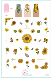 Glow like a Sunflower (CjS-370) - Clear Jelly Stamping Plate