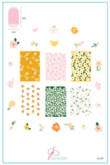 Crazy for Daisies (CjS-385) - Clear Jelly Stamping Plate