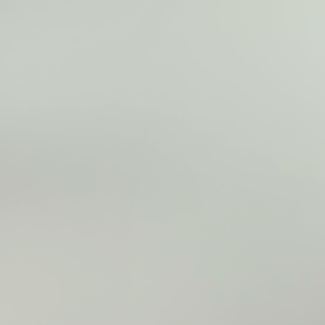 NEONS - 12pk DEAL