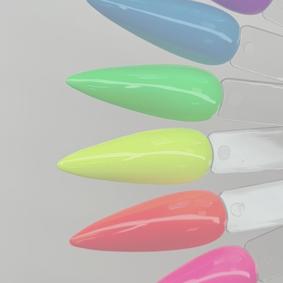 NEONS - 6pk DEAL (287-292)