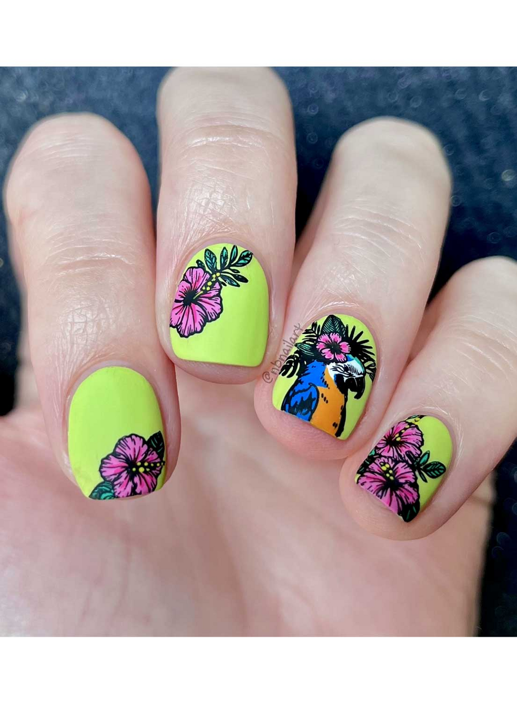 Seashells & Sunshine - Uber Chic Stamping Plate