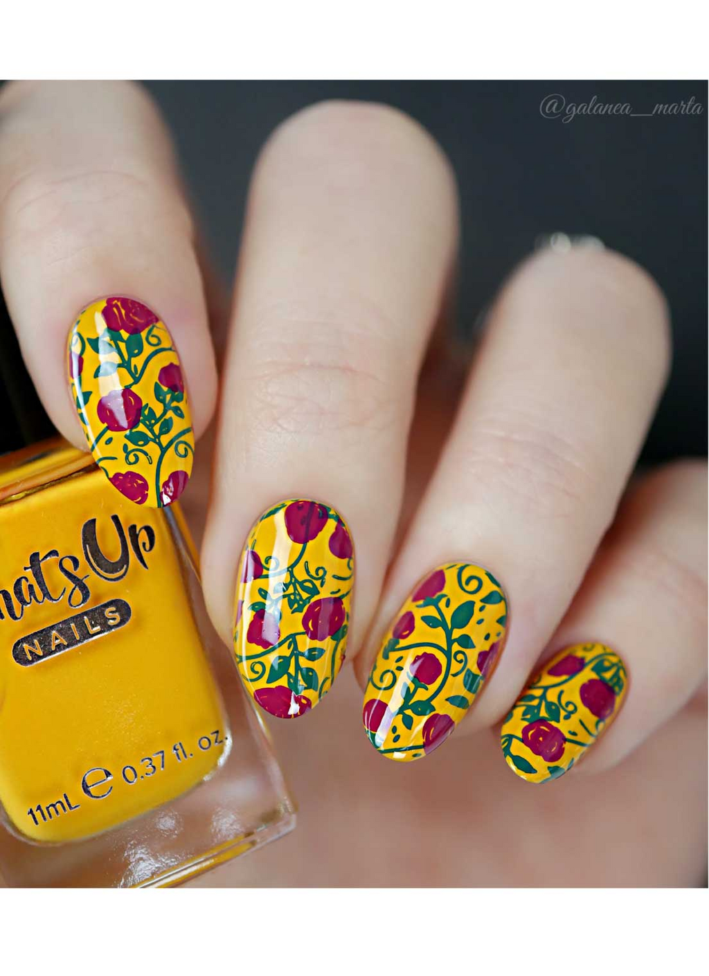 Secret Garden 3 - Uber Chic Stamping Plate
