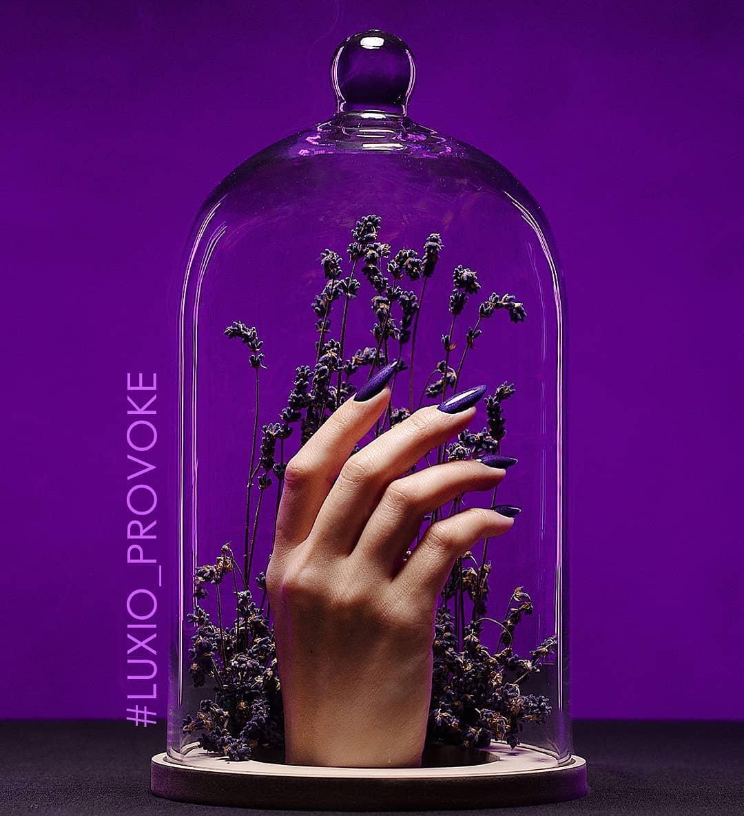 Provoke - Akzentz Luxio  15ml/0.5oz Secondary image