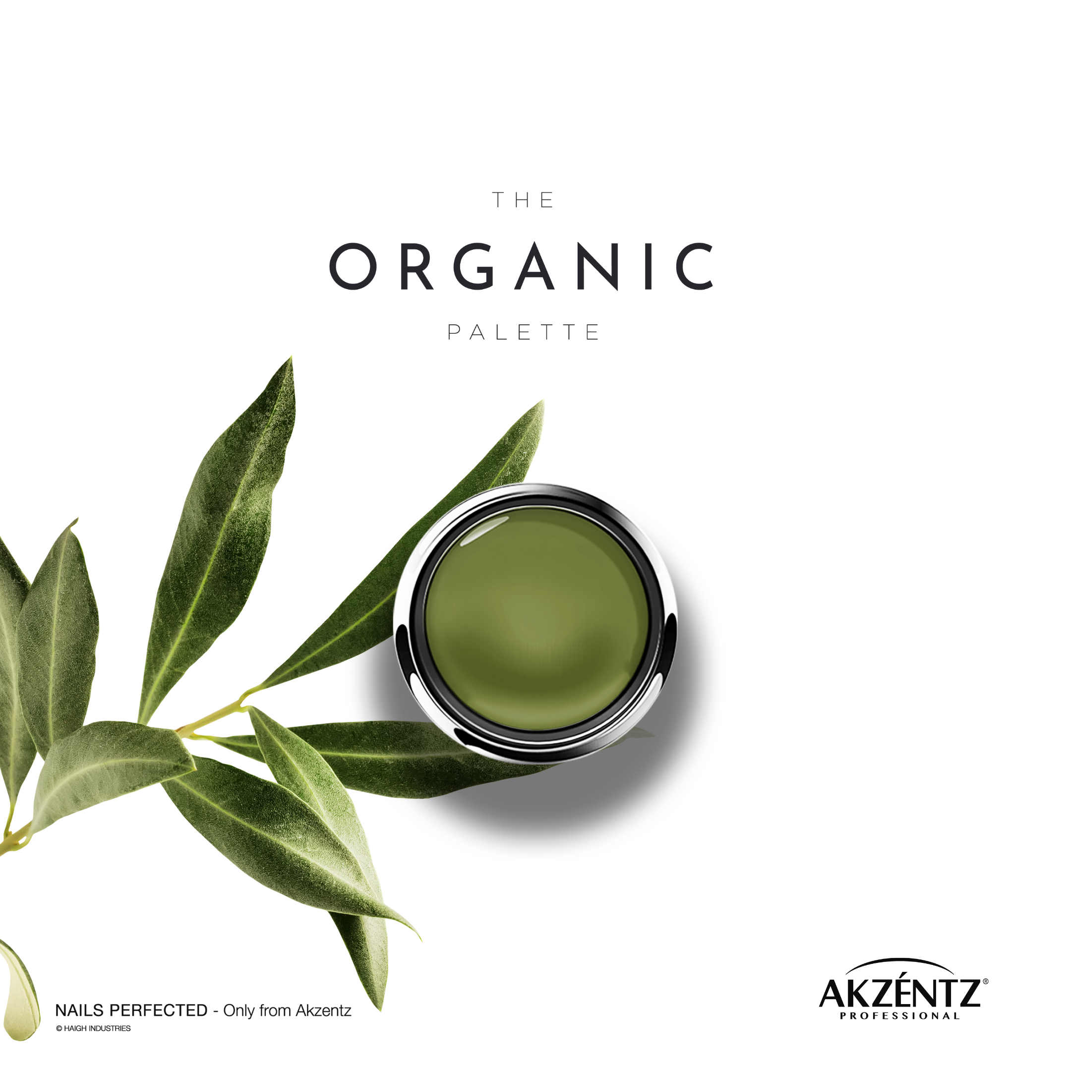 Organic Gel Paint Collection - MINI JAR Set  - Akzentz Gel Play UV/LED Secondary image