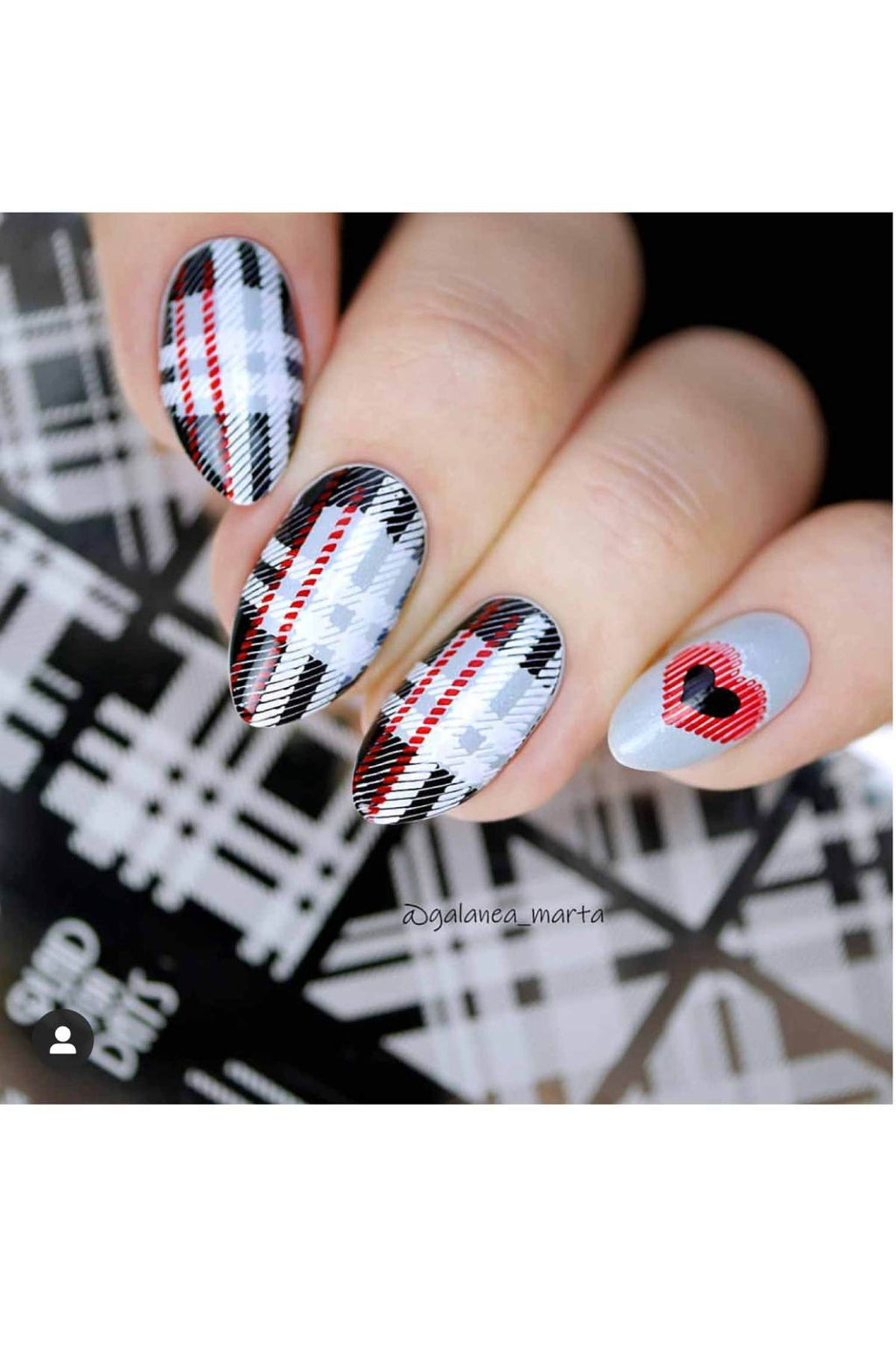 Pretty In Plaid 2 - Uber Chic Stamping Plate