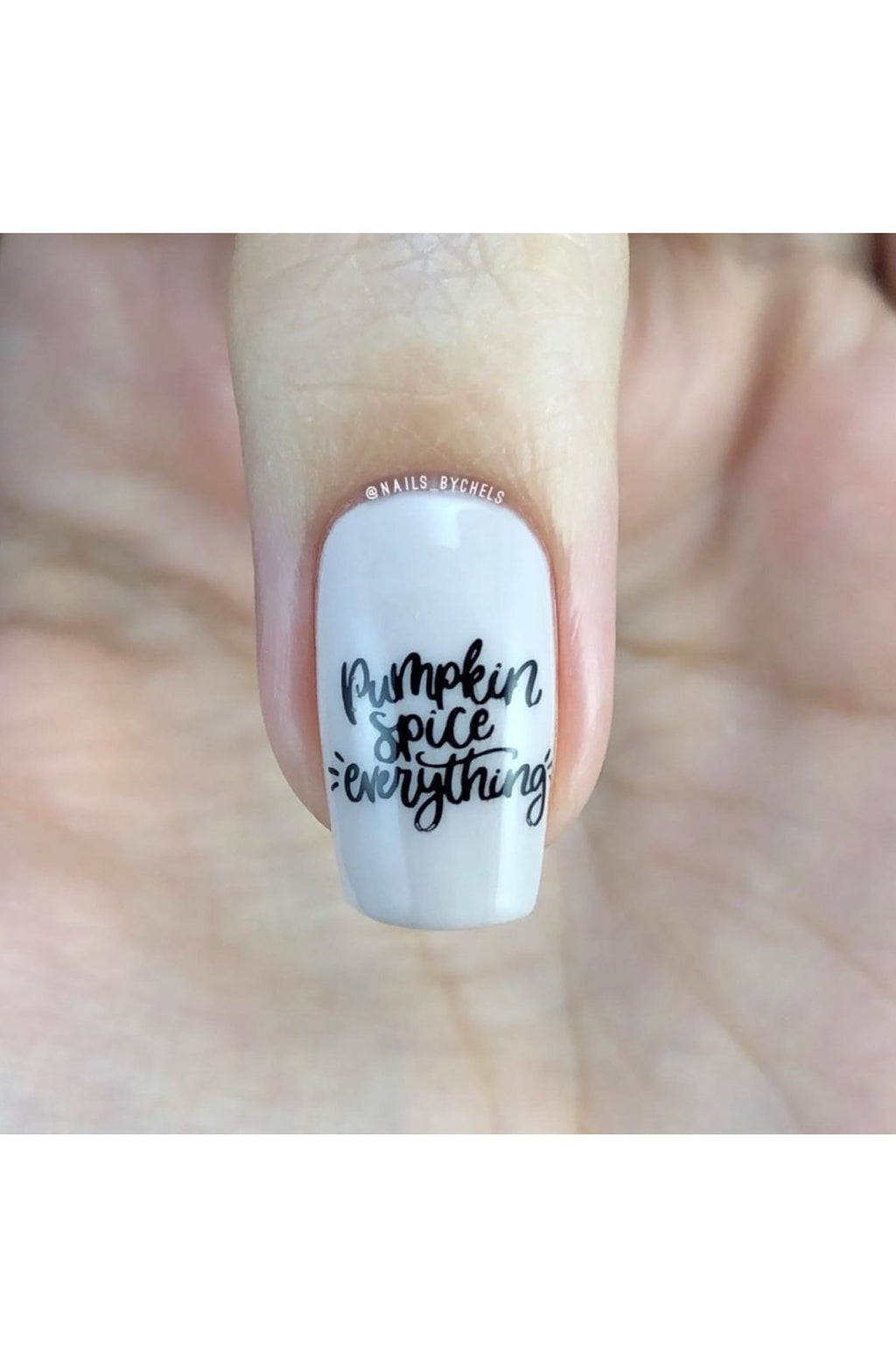 Hello Fall & Pumpkin Spice - Uber Chic Mini Stamping Plate