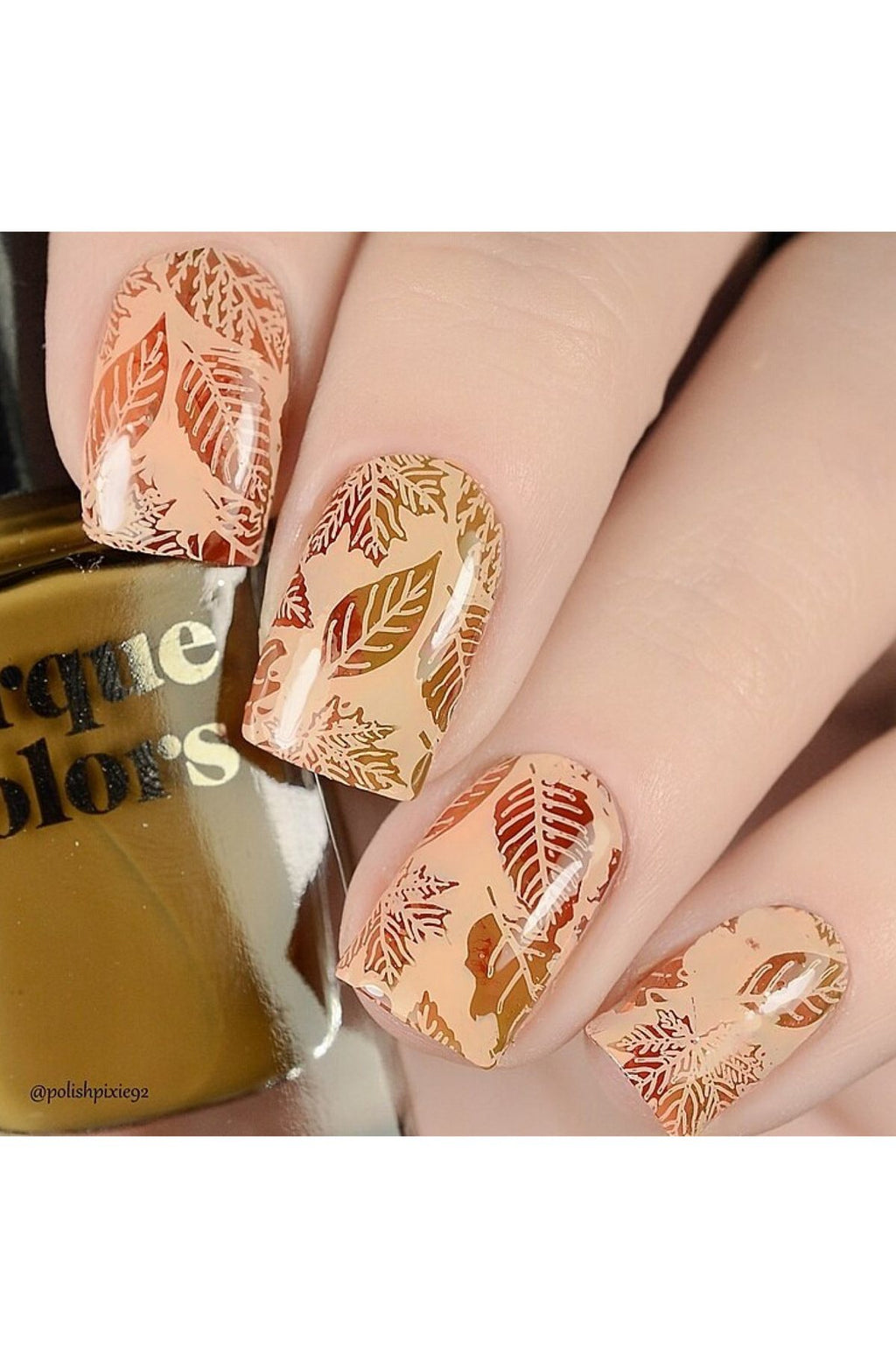Lovely Leaves 2 - Uber Chic Stamping Plate