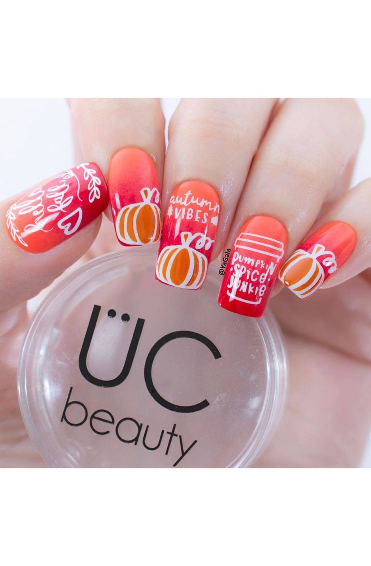 Hello Fall & Pumpkin Spice - Uber Chic Mini Stamping Plate