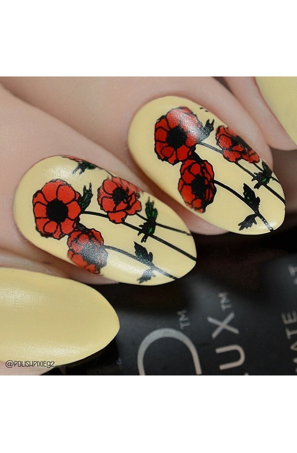 Secret Garden - Uber Chic Stamping Plate