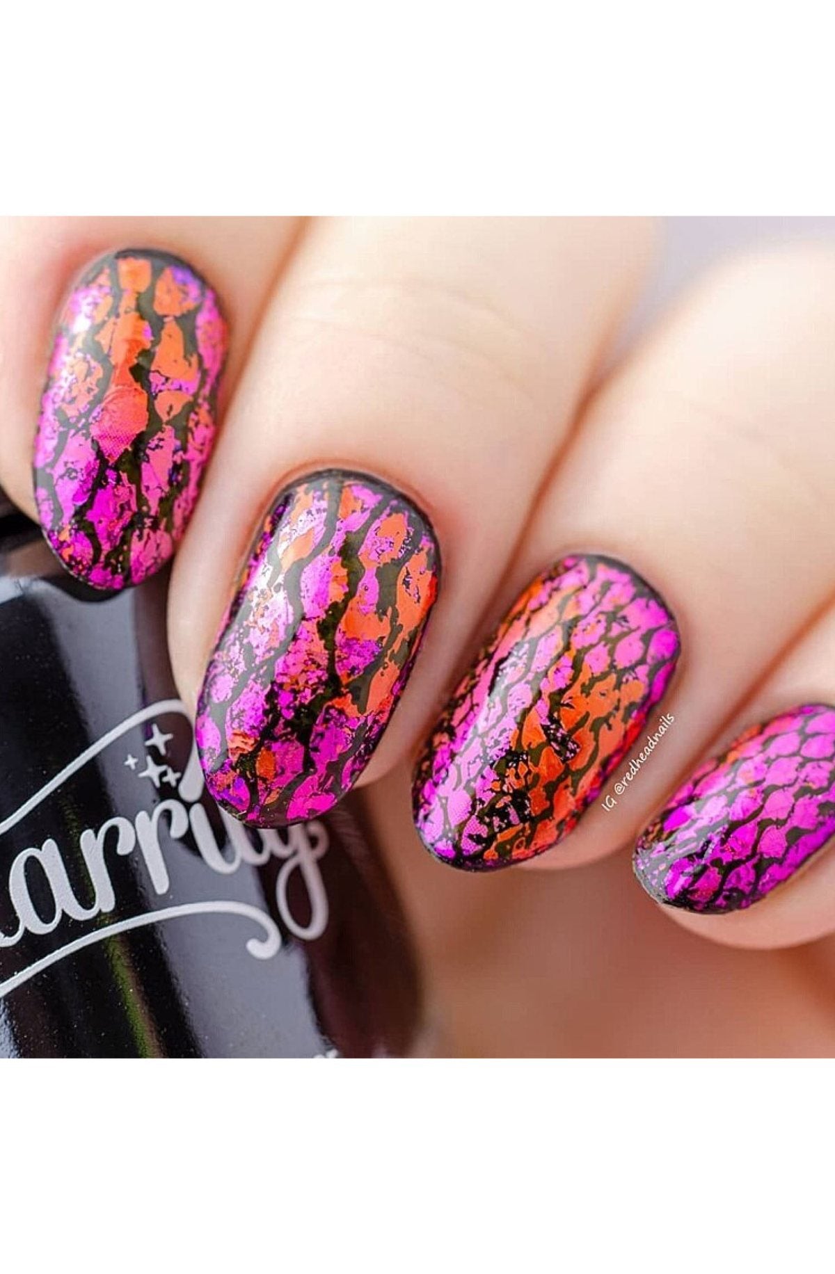 Wild Luxury: Cold Blooded - Uber Chic Stamping Plate