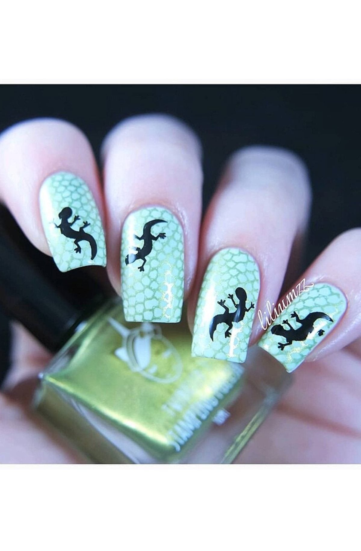 Wild Luxury: Cold Blooded - Uber Chic Stamping Plate