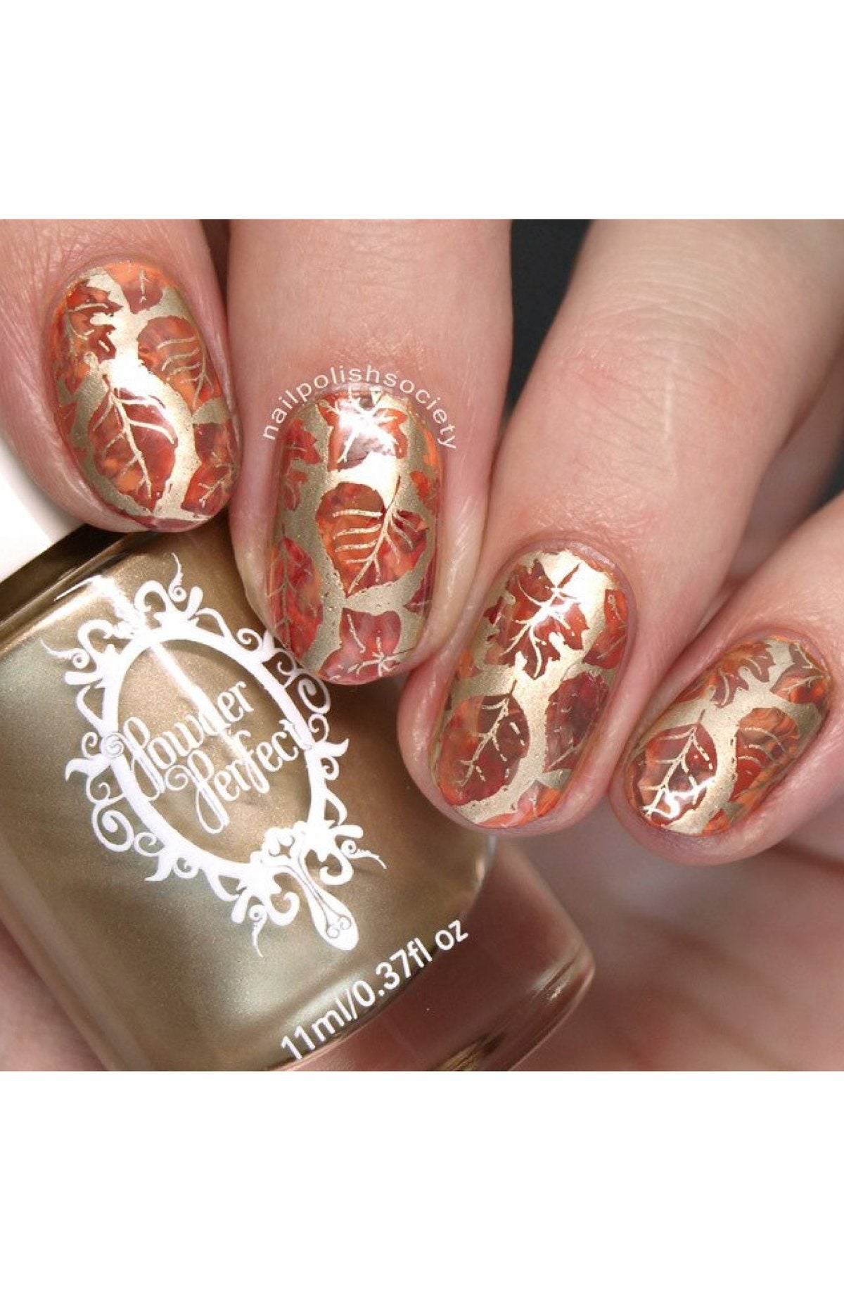 Lovely Leaves 1 - Uber Chic Stamping Plate