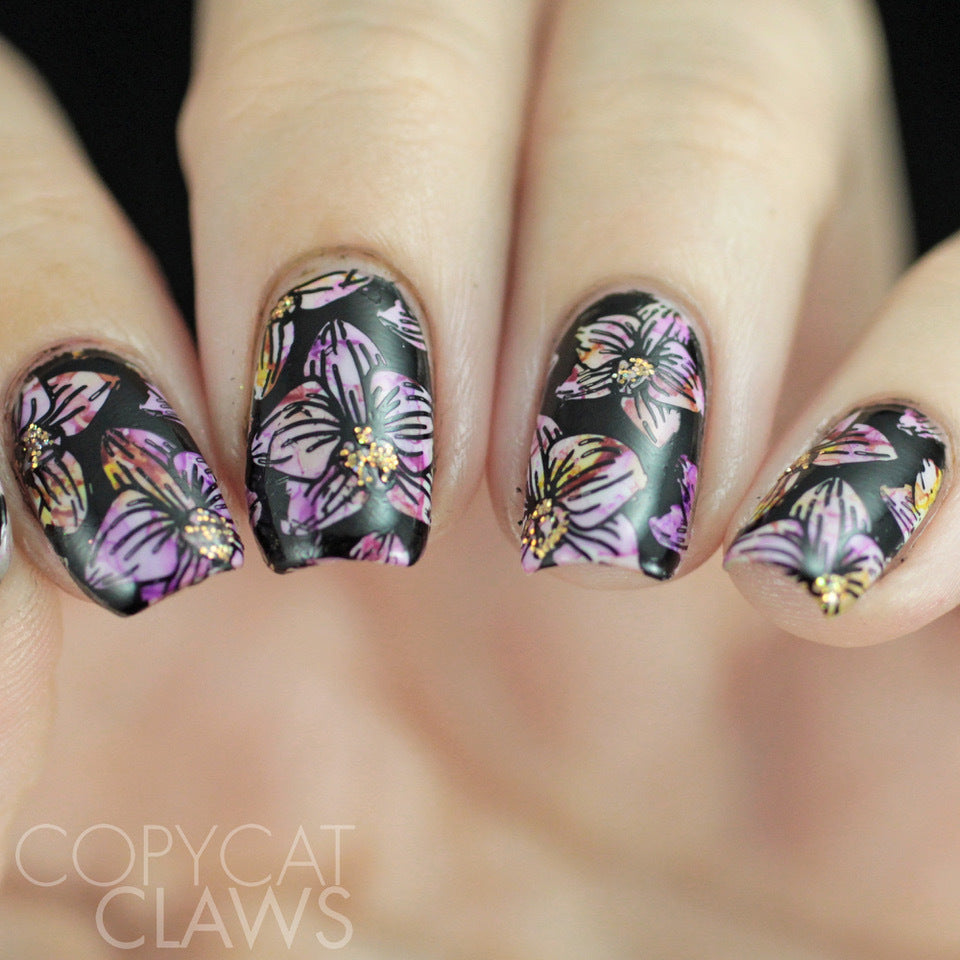 Collection 20 - Uber Chic Stamping Plates