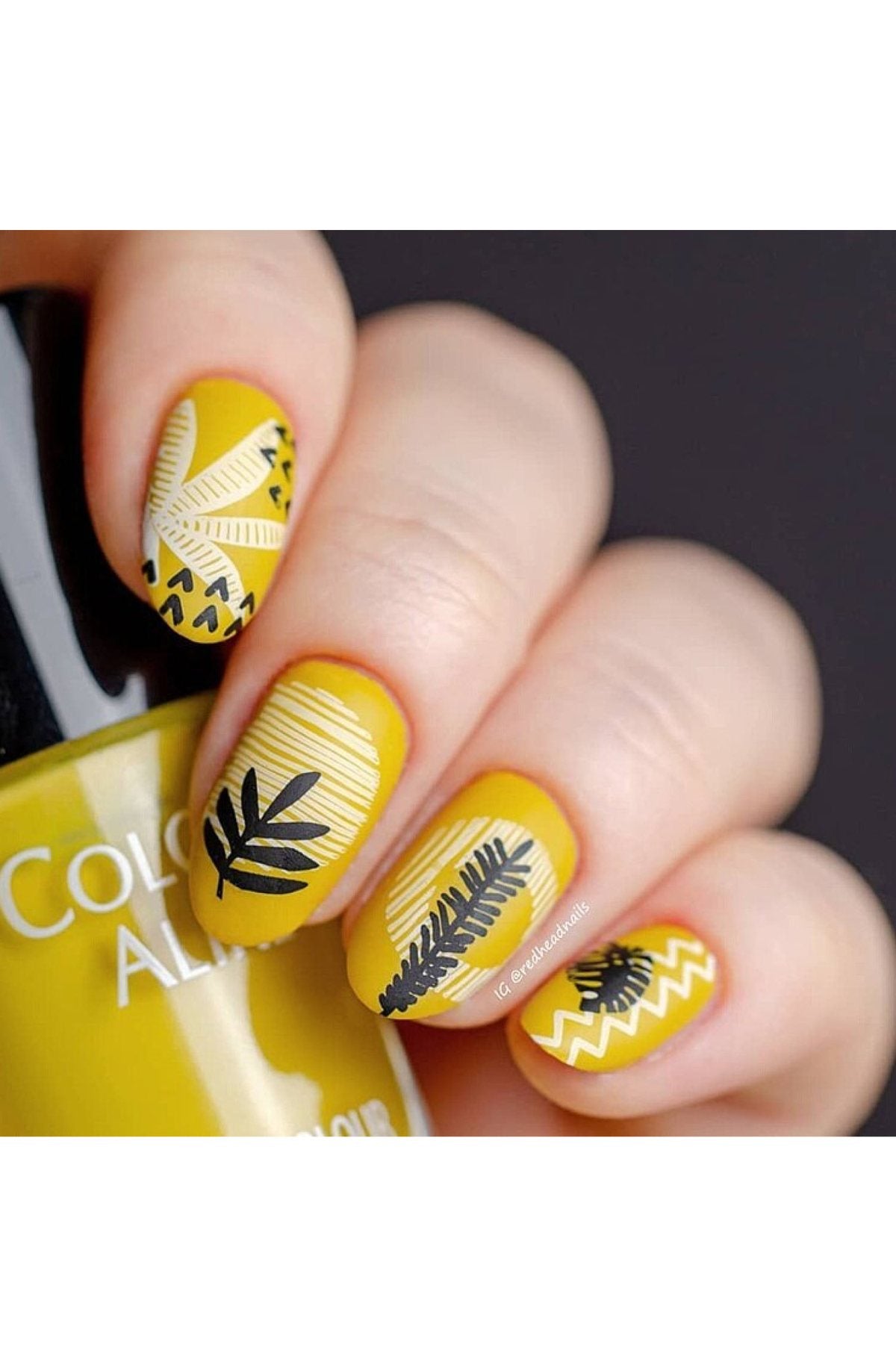 Modern Tropical - Uber Chic Mini Stamping Plate