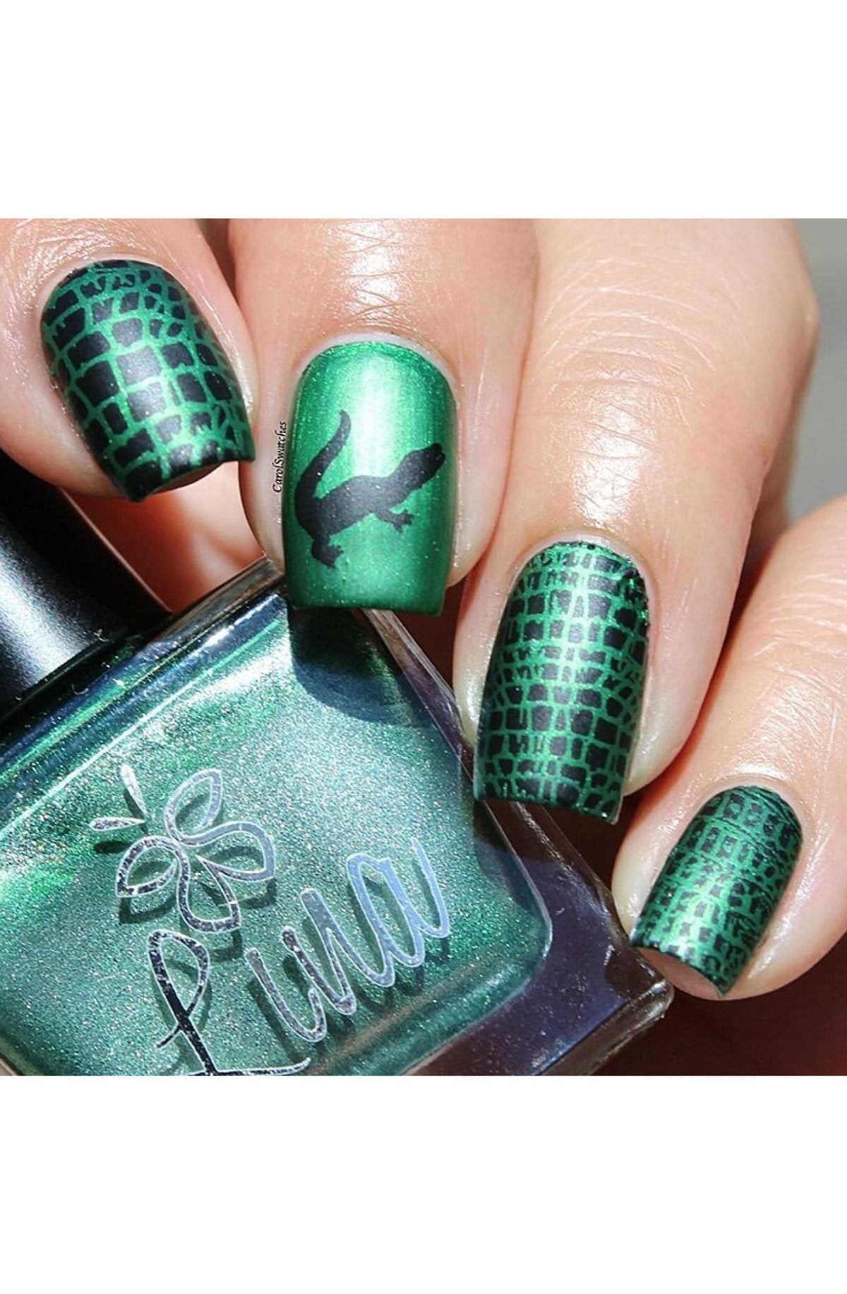 Wild Luxury: Cold Blooded - Uber Chic Stamping Plate