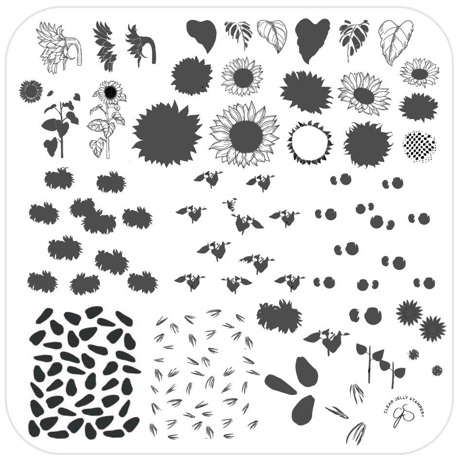 Sunflowers (CjS-163) - CJS Medium Stamping Plate