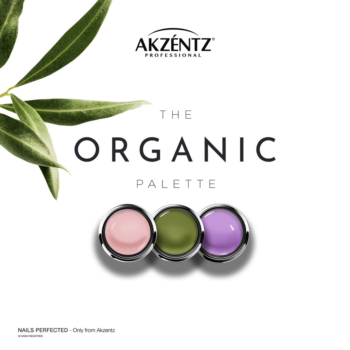 Organic Gel Paint Collection - MINI JAR Set  - Akzentz Gel Play UV/LED Main image