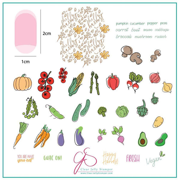 Happy Harvest (CjS-170) - CJS Medium Stamping Plate