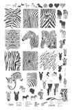 Wild Kingdom – Zebra (CjS-175)  - Clear Jelly Stamping Plate