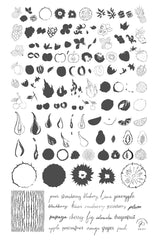 Fruit Cocktail Collection - Tropical Sensation (CjS-211) - Clear Jelly Stamping Plate