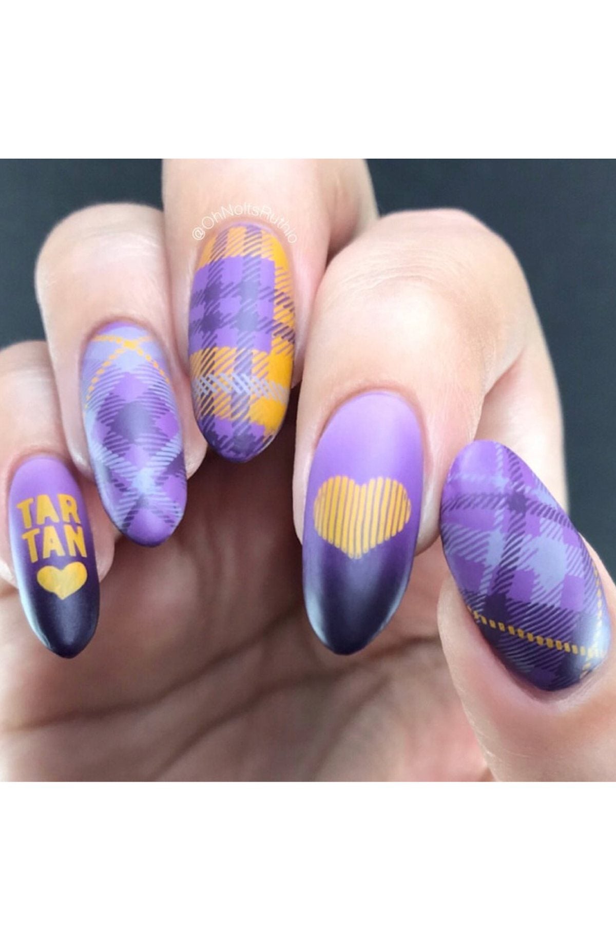 Pretty In Plaid 2 - Uber Chic Stamping Plate