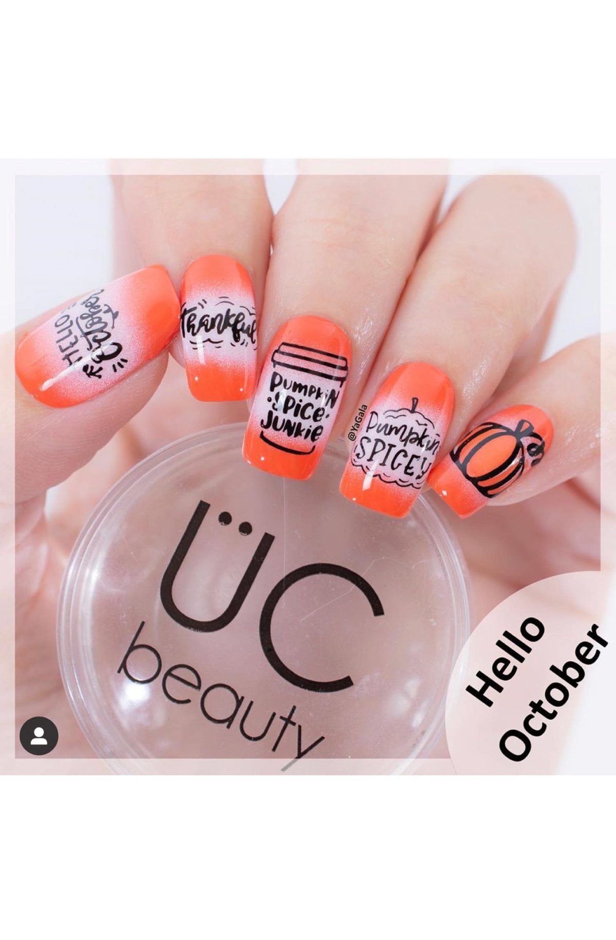 Hello Fall & Pumpkin Spice - Uber Chic Mini Stamping Plate