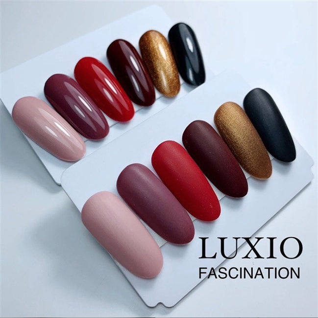 Fascination-  Fall 2019 MINI SIZE Collection -  Luxio Main image