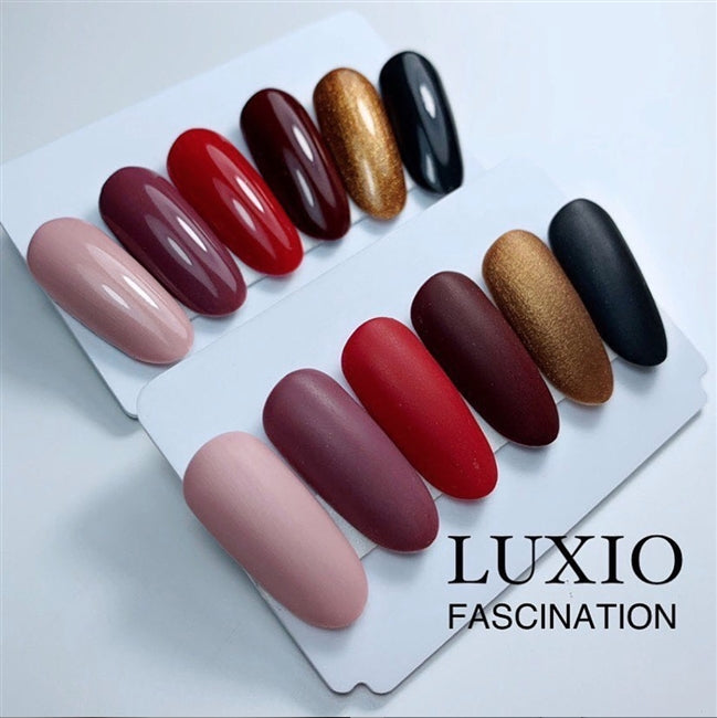 Fascination-  Fall 2019 FULL SIZE Collection -  Luxio