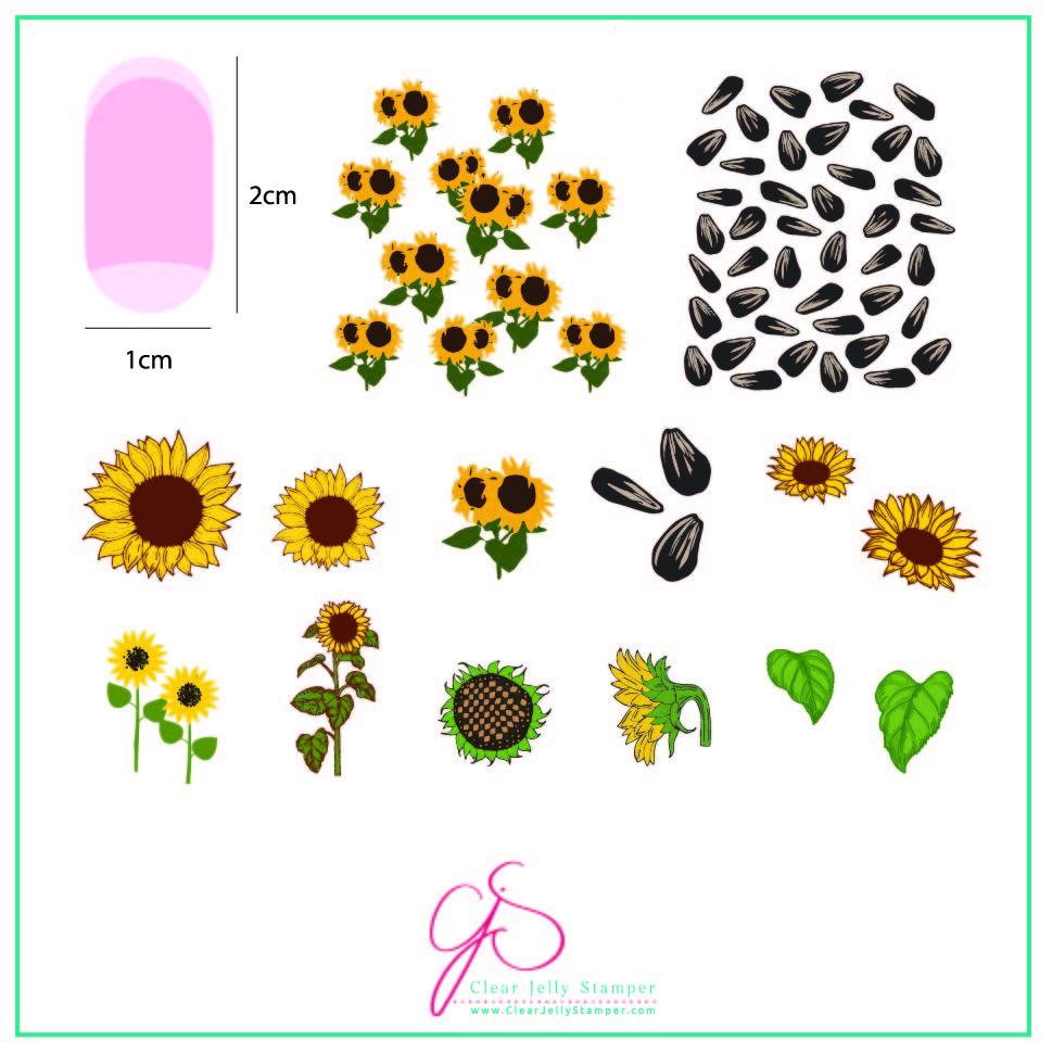 Sunflowers (CjS-163) - CJS Medium Stamping Plate Main image