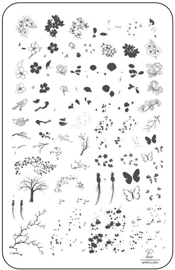 Sakura (CjSLC-69) - Clear Jelly Stamping Plate