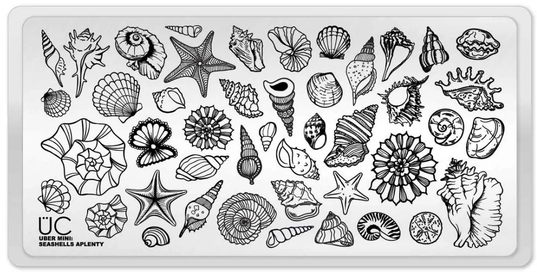 Seashells Aplenty- Uber Chic Mini Stamping Plate Main image