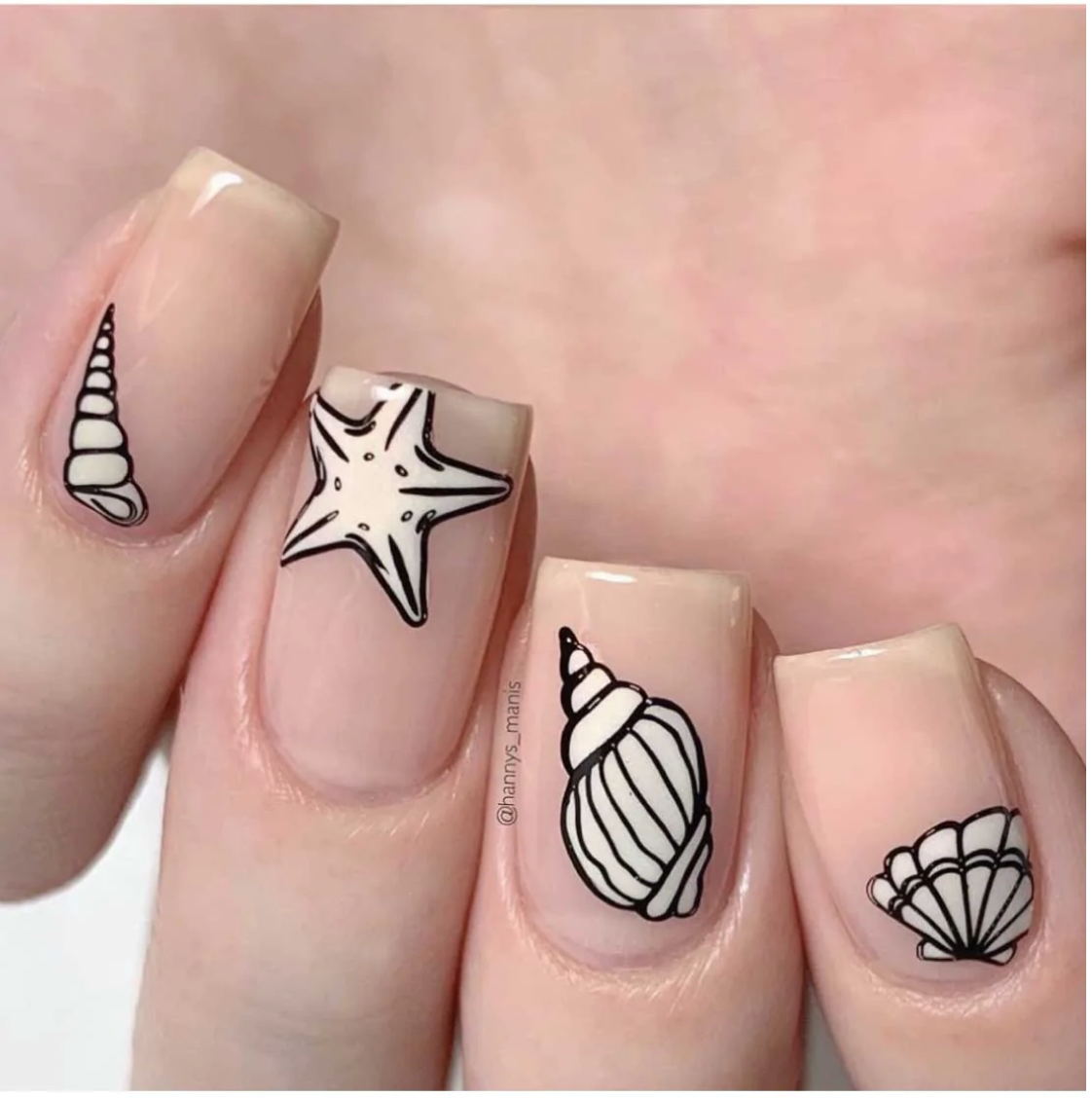 Seashells Aplenty- Uber Chic Mini Stamping Plate