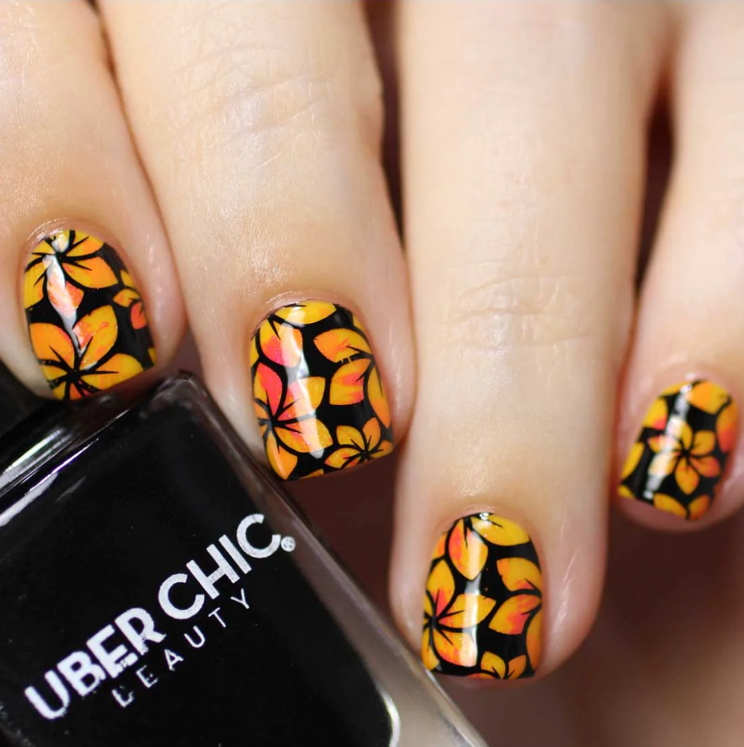 Collection 29 - Uber Chic Stamping Plates