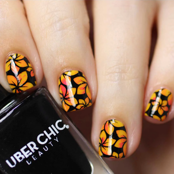 Collection 29 - Uber Chic Stamping Plates