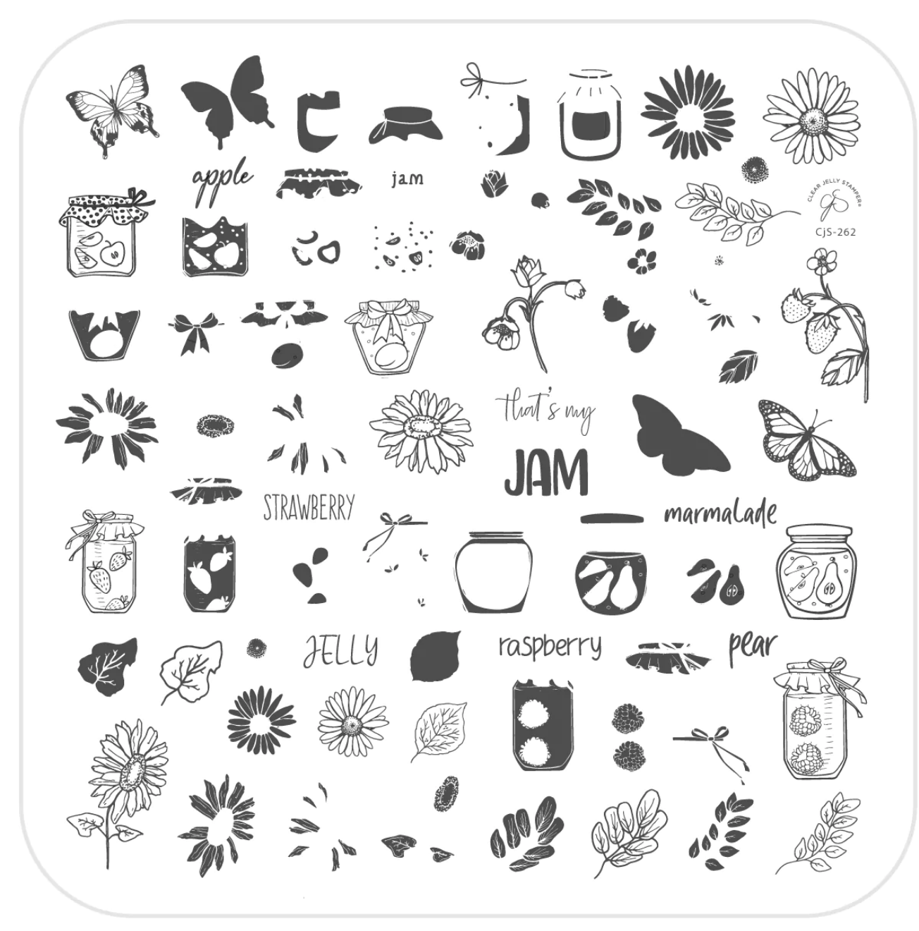That's My Jam (CjS-262) -  CJS Medium Stamping Plate Secondary image