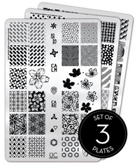 Collection 23 - Set of 3 Uber Chic Stamping Plates