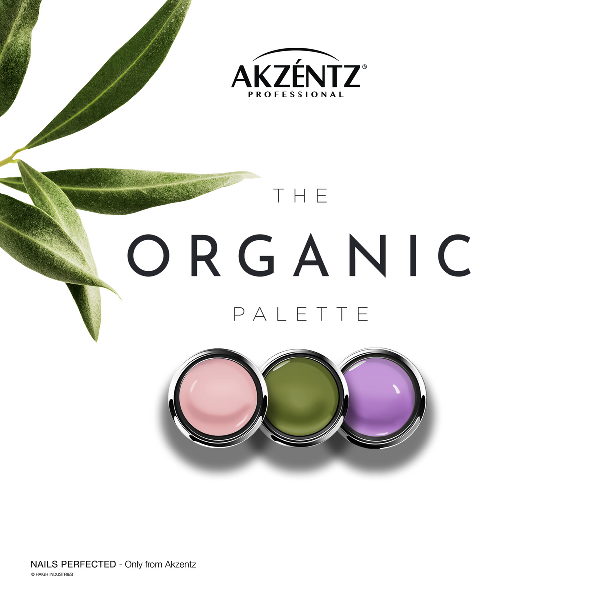 Organic Gel Paint Collection - FULL SIZE JAR Set  - Akzentz Gel Play UV/LED