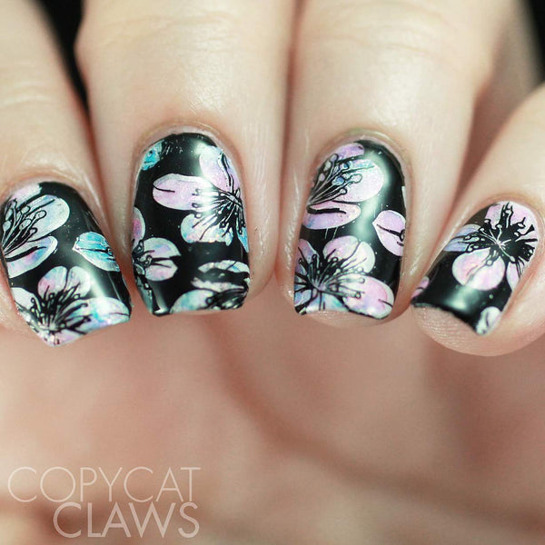 Collection 25 - Set of 3 Uber Chic Stamping Plates