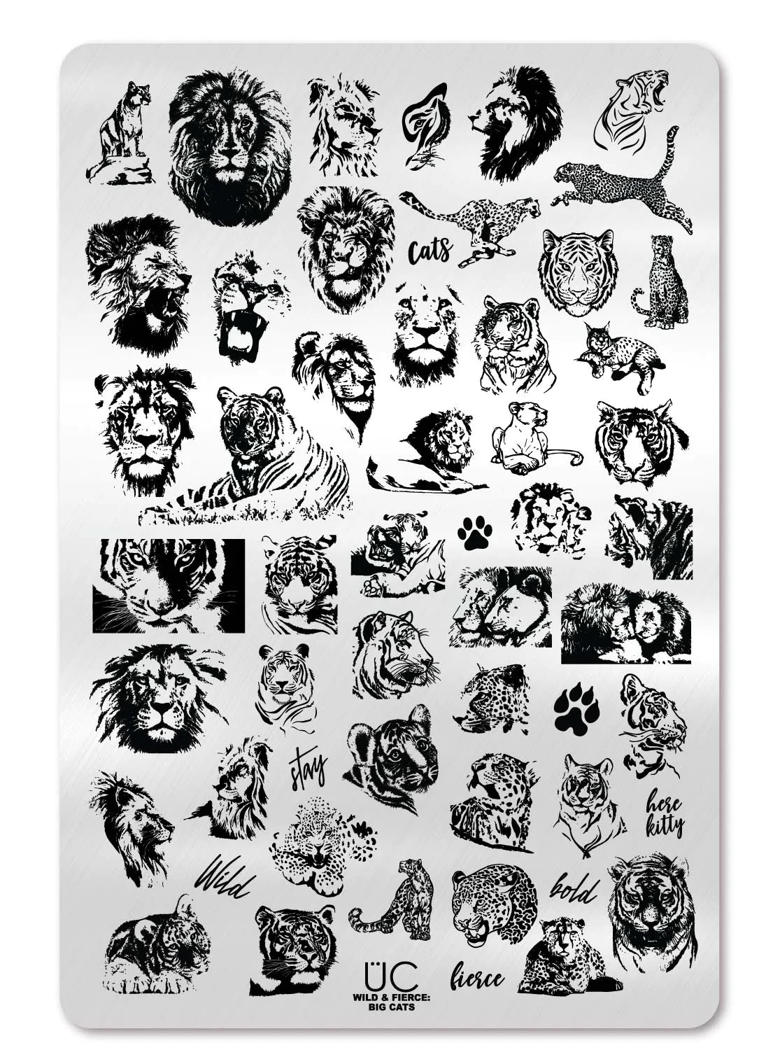 Wild & Fierce: Big Cats -  Uber Chic Stamping Plate Main image