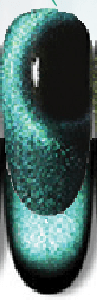 Amazonite Blackout Cats Eye Gel Polish Main image